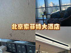 -北京索菲特大酒店