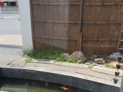 -汤宴·参须肚包鸡(南京路店)