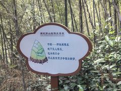 -南武当山景区