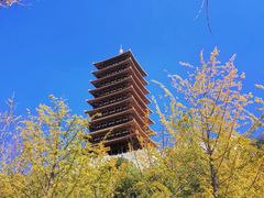 -牛首山文化旅游区