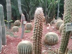 -呀路古热带植物园