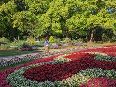 -上海共青森林公园