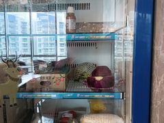 -威蒂斯国际健身游泳会所(东莞庄路店)