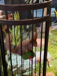 -酷嗒动物文化乐园(cutezoo西溪乐天城店)