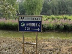 -东郊湿地公园