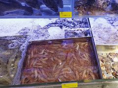 -77号渔船·蒸海鲜青岛菜(积米崖店)