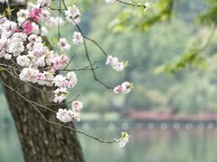 -苏堤停车场