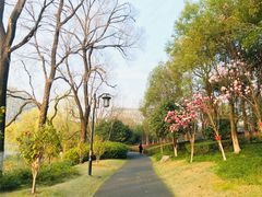 -杭州城北体育公园