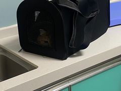 -中农大我爱我爱24h动物医院·中医针灸·猫专科·骨科医疗中心(双井店)