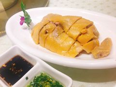 本帮白斩鸡-顺风海鲜港(金玉兰店)