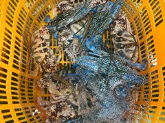 -沙田台山海鲜·酣客酒窖