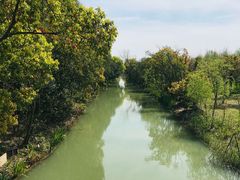 -上海长兴岛郊野公园