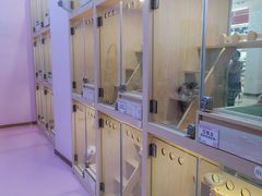 -爪爪喵星球·猫舍(前海卓越店)