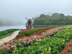 -广州市石门国家森林公园
