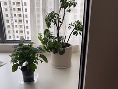 -居丽装饰空间设计(总部)