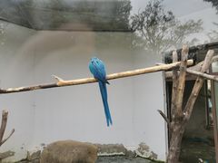-上方山森林动物世界