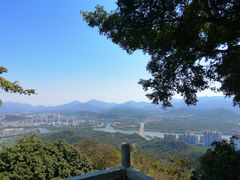 -风云岭森林公园