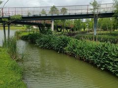 -王借岗森林公园