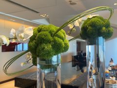 -上海龙之梦万丽酒店