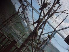 -燕塞湖鸟语林景区