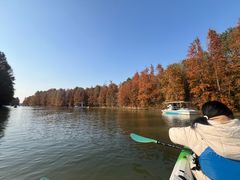 -上海海湾国家森林公园