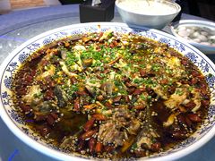 -新概念来凤鱼(璧山店)