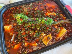湄公淡水石斑鱼-王子私厨(鸿通城购物中心店)