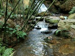-羚羊峡古栈道森林公园