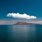 -薇兰专业脱毛连锁机构