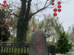 -映月湖公园