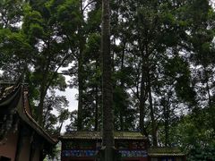 -都江堰普照寺
