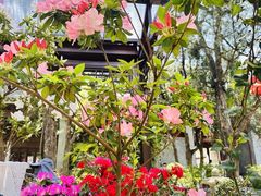 -惠山古镇·寄畅园