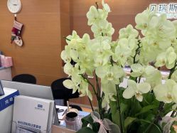 -杭州贝瑞斯美华妇儿医院·早孕·产检·儿科