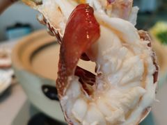 -扬州万怡酒店-中餐厅(文昌中路店)
