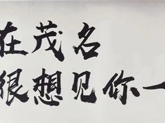 -华海酒店(茂名高铁站店)