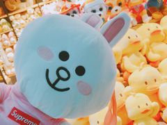 -南湖维嘉佰港城