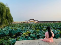 -张记袜底酥(锦溪店)