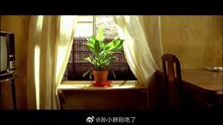 -华卫思理轻奢造型