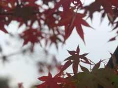 -苏沐堂全息足浴·SPA·按摩(万科美好广场店)