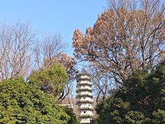 -灵谷景区