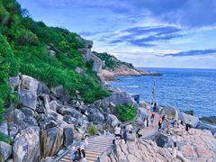 -广东惠东海龟国家级自然保护区