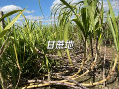 -菊园百果园
