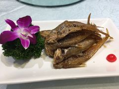 -金米箩大酒店(五角场店)