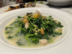 -三利音·浦之舟(滨江大道店)