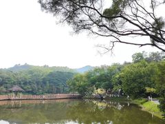 -番禺大夫山森林公园