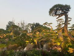 -罗红摄影艺术馆