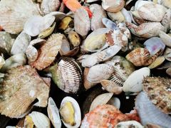 -大锅强·蒸海鲜青岛菜(吾悦广场店)