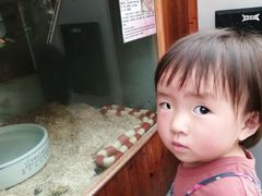 -上海大自然野生昆虫馆(东方明珠·爬宠昆虫探索中心)