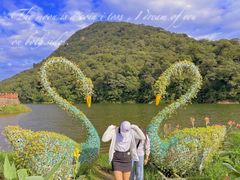 景点-广州市石门国家森林公园