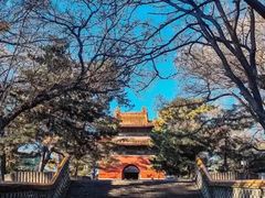 -沈阳市东陵公园